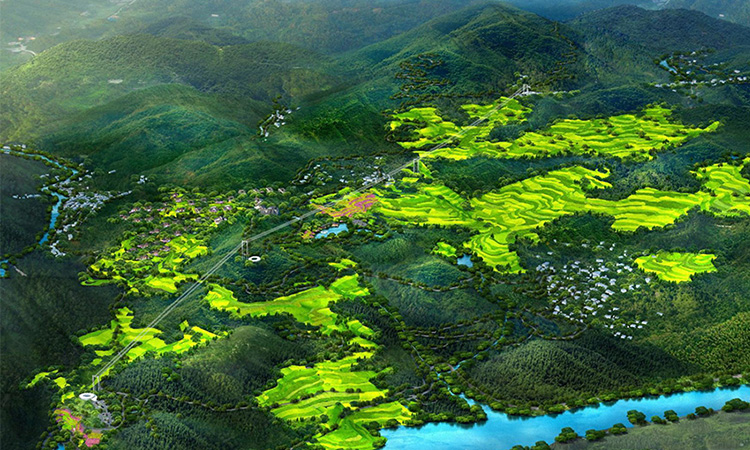 78m威九国际●泽雅幼镇