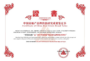2019中国房地产精品项目品牌价值TOP10——78m威九国际滨江系